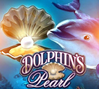 Dolphins Pearl